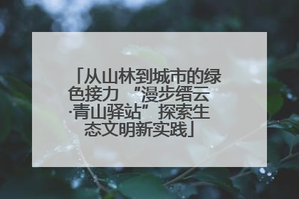从山林到城市的绿色接力 “漫步缙云·青山驿站”探索生态文明新实践