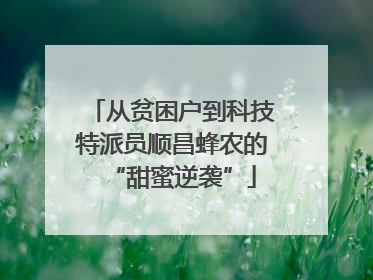 从贫困户到科技特派员顺昌蜂农的“甜蜜逆袭”