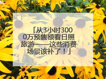 从3小时3000万预售额看日照旅游——这些消费场景该补了！