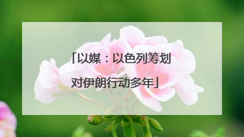 以媒：以色列筹划对伊朗行动多年