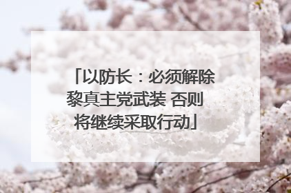 以防长：必须解除黎真主党武装 否则将继续采取行动