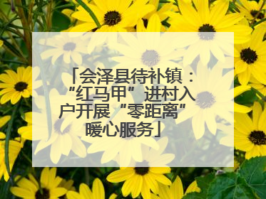 会泽县待补镇：“红马甲”进村入户开展“零距离”暖心服务