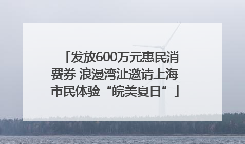 发放600万元惠民消费券 浪漫湾沚邀请上海市民体验“皖美夏日”