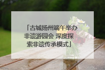 古城扬州端午举办非遗游园会 深度探索非遗传承模式