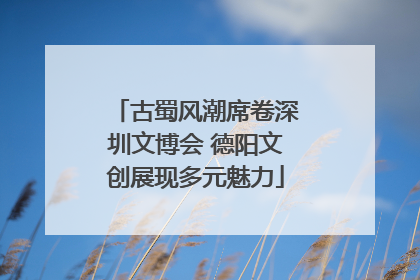 古蜀风潮席卷深圳文博会 德阳文创展现多元魅力
