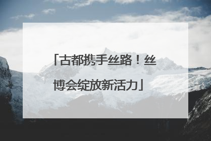 古都携手丝路！丝博会绽放新活力