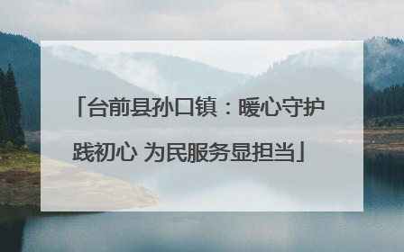 台前县孙口镇：暖心守护践初心 为民服务显担当
