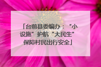 台前县委编办：“小设施”护航“大民生” 保障村民出行安全