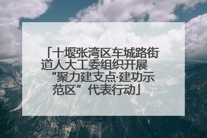 十堰张湾区车城路街道人大工委组织开展 “聚力建支点·建功示范区”代表行动