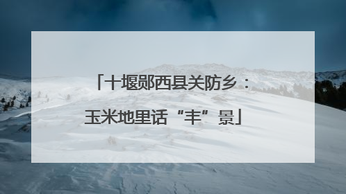十堰郧西县关防乡：玉米地里话“丰”景