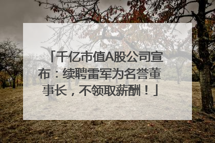 千亿市值A股公司宣布：续聘雷军为名誉董事长，不领取薪酬！