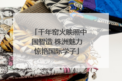 千年窑火映照中国智造 株洲魅力惊艳国际学子