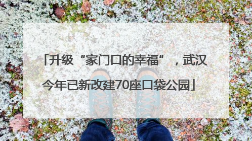 升级“家门口的幸福”，武汉今年已新改建70座口袋公园