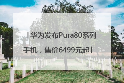 华为发布Pura80系列手机，售价6499元起