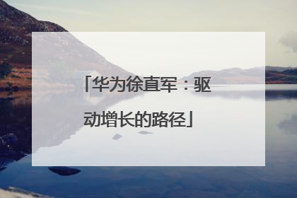 华为徐直军：驱动增长的路径