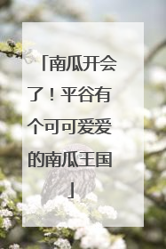 南瓜开会了！平谷有个可可爱爱的南瓜王国