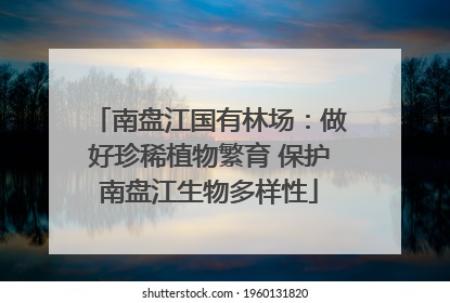 南盘江国有林场：做好珍稀植物繁育 保护南盘江生物多样性