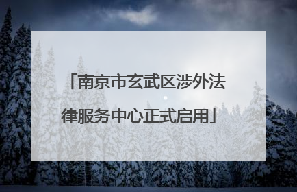 南京市玄武区涉外法律服务中心正式启用
