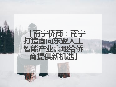 南宁侨商：南宁打造面向东盟人工智能产业高地给侨商提供新机遇