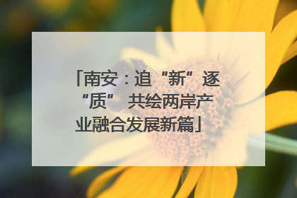 南安：追“新”逐“质” 共绘两岸产业融合发展新篇