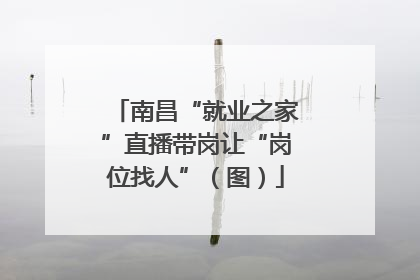 南昌“就业之家”直播带岗让“岗位找人”（图）