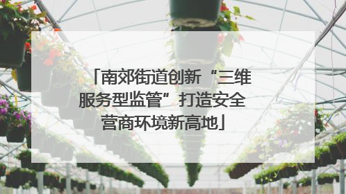南郊街道创新“三维服务型监管”打造安全营商环境新高地