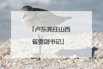 卢东亮任山西省委副书记
