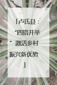 卢氏县：“四措并举”激活乡村振兴新优势