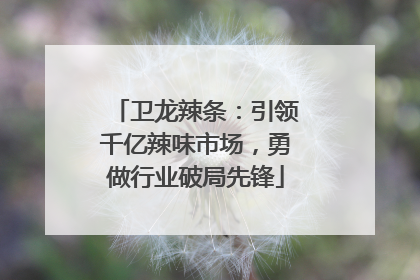 卫龙辣条：引领千亿辣味市场，勇做行业破局先锋