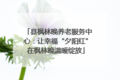 县枫林晚养老服务中心：让幸福“夕阳红”在枫林晚温暖绽放