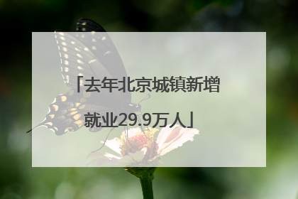 去年北京城镇新增就业29.9万人