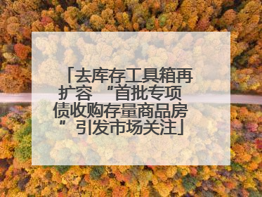 去库存工具箱再扩容 “首批专项债收购存量商品房”引发市场关注