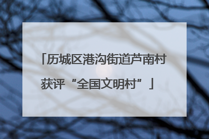 历城区港沟街道芦南村获评“全国文明村”