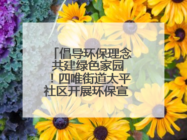 倡导环保理念 共建绿色家园！四唯街道太平社区开展环保宣传进社区活动