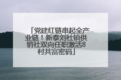 党建红链串起全产业链！新泰刘杜镇供销社双向任职激活8村共富密码