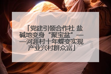 党建引领合作社 盐碱地变身“聚宝盆”——河涯村十年蝶变实现产业兴村群众富
