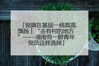 党旗在基层一线高高飘扬丨“去有村的地方”——湖南有一群青年党员这样选择