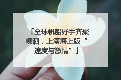 全球帆船好手齐聚嵊泗，上演海上版“速度与激情”