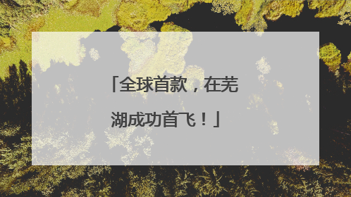 全球首款，在芜湖成功首飞！