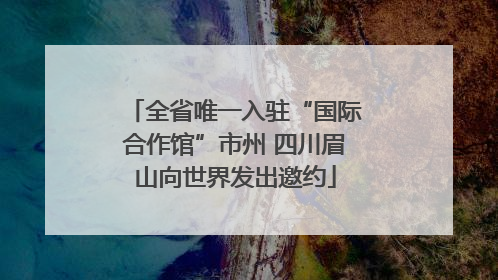 全省唯一入驻“国际合作馆”市州 四川眉山向世界发出邀约