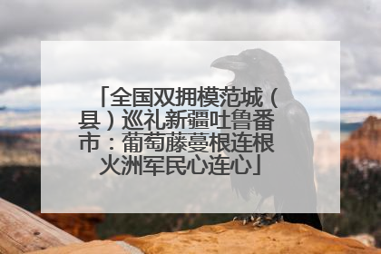 全国双拥模范城（县）巡礼新疆吐鲁番市：葡萄藤蔓根连根 火洲军民心连心