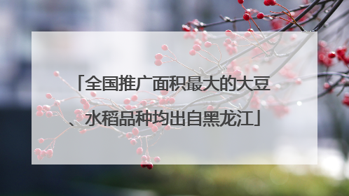全国推广面积最大的大豆、水稻品种均出自黑龙江