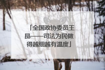 全国政协委员王昆——司法为民做得越细越有温度