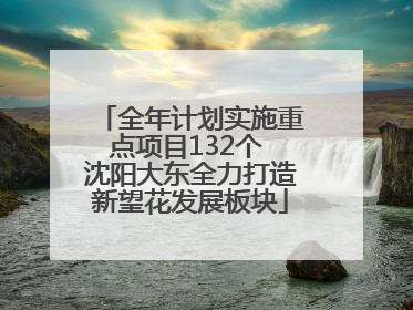 全年计划实施重点项目132个 沈阳大东全力打造新望花发展板块