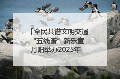 全民共谱文明交通“五线谱”新乐章 丹阳举办2025年“文明交通 同心同行”主题宣传活动