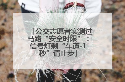 公交志愿者实测过马路“安全时限”：信号灯剩“车道-1秒”请止步