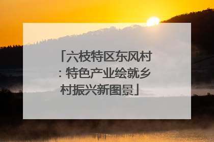 六枝特区东风村：特色产业绘就乡村振兴新图景