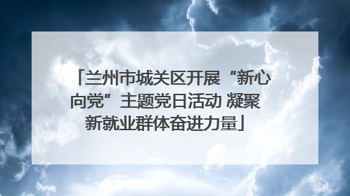 兰州市城关区开展“新心向党”主题党日活动 凝聚新就业群体奋进力量