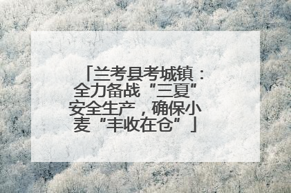 兰考县考城镇：全力备战“三夏”安全生产，确保小麦“丰收在仓”