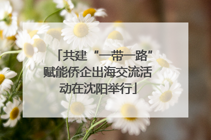 共建“一带一路”赋能侨企出海交流活动在沈阳举行